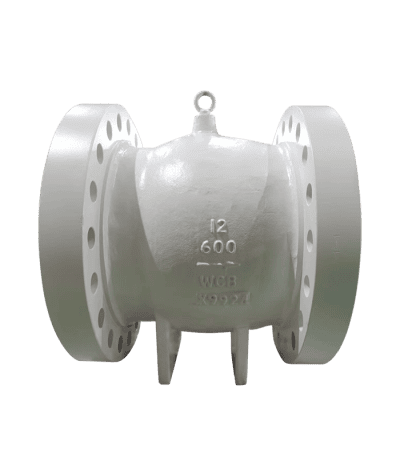 Axial Flow Check Valve for Industrial Applications.